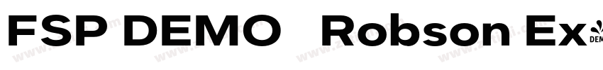 FSP DEMO   Robson Ex字体转换